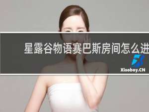 星露谷物语赛巴斯房间怎么进