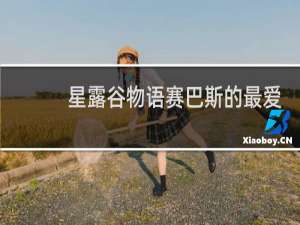 星露谷物语赛巴斯的最爱