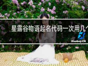 星露谷物语起名代码一次用几个