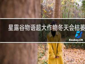 星露谷物语超大作物冬天会枯萎吗