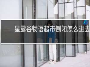 星露谷物语超市倒闭怎么进去