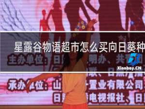 星露谷物语超市怎么买向日葵种子