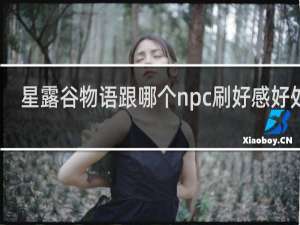 星露谷物语跟哪个npc刷好感好处多