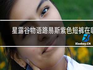 星露谷物语路易斯紫色短裤在哪