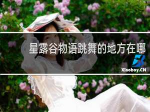 星露谷物语跳舞的地方在哪