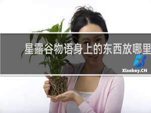 星露谷物语身上的东西放哪里