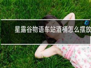 星露谷物语车站酒桶怎么摆放