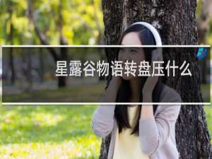 星露谷物语转盘压什么