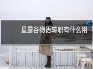 星露谷物语转职有什么用