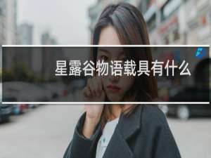 星露谷物语载具有什么