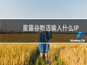 星露谷物语输入什么IP