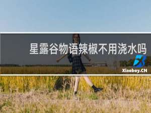 星露谷物语辣椒不用浇水吗