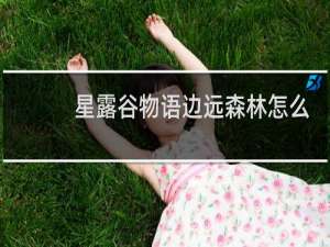 星露谷物语边远森林怎么