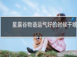 星露谷物语运气好的时候干啥