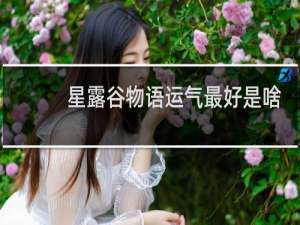 星露谷物语运气最好是啥