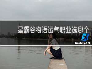 星露谷物语运气职业选哪个