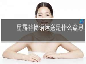星露谷物语运送是什么意思