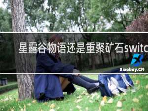 星露谷物语还是重聚矿石switch