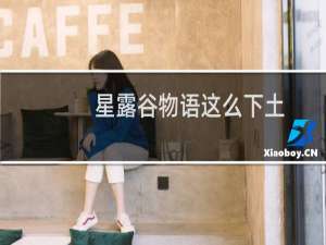 星露谷物语这么下土