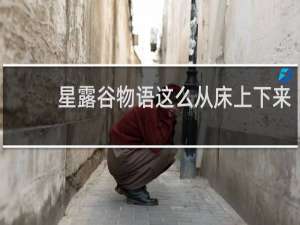 星露谷物语这么从床上下来