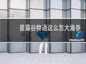 星露谷物语这么怎大海参