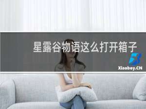 星露谷物语这么打开箱子