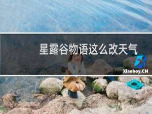 星露谷物语这么改天气