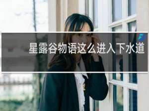 星露谷物语这么进入下水道