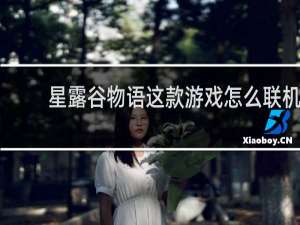 星露谷物语这款游戏怎么联机