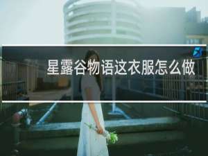 星露谷物语这衣服怎么做