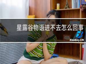 星露谷物语进不去怎么回事