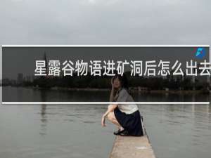 星露谷物语进矿洞后怎么出去