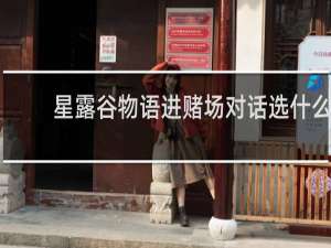 星露谷物语进赌场对话选什么