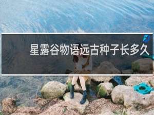 星露谷物语远古种子长多久