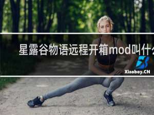 星露谷物语远程开箱mod叫什么