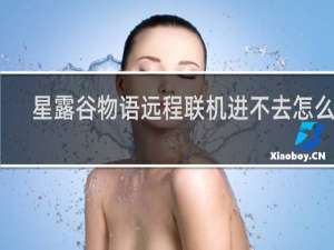 星露谷物语远程联机进不去怎么办