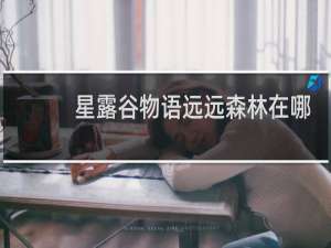 星露谷物语远远森林在哪
