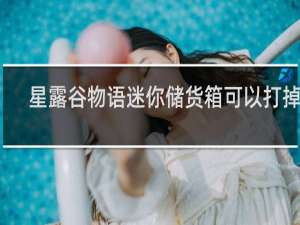 星露谷物语迷你储货箱可以打掉吗