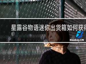 星露谷物语迷你出货箱如何获得