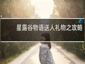 星露谷物语送人礼物之攻略