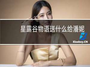 星露谷物语送什么给潘妮