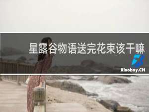 星露谷物语送完花束该干嘛