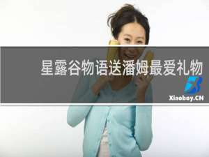 星露谷物语送潘姆最爱礼物