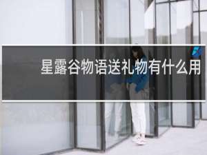 星露谷物语送礼物有什么用