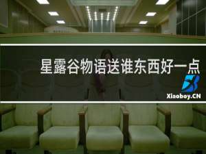 星露谷物语送谁东西好一点