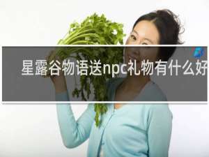 星露谷物语送npc礼物有什么好处