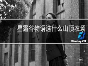 星露谷物语选什么山顶农场