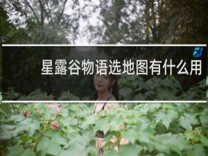 星露谷物语选地图有什么用