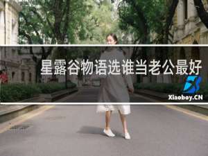 星露谷物语选谁当老公最好