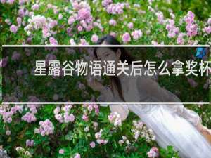 星露谷物语通关后怎么拿奖杯